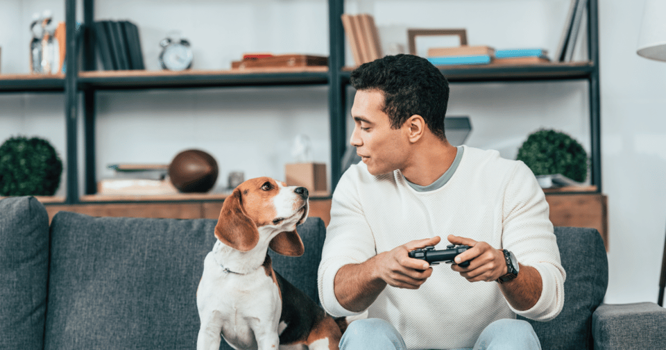 How to invest based on your interests