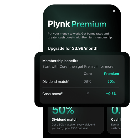 premium web-22 (1)