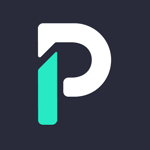 Plynk logo icon